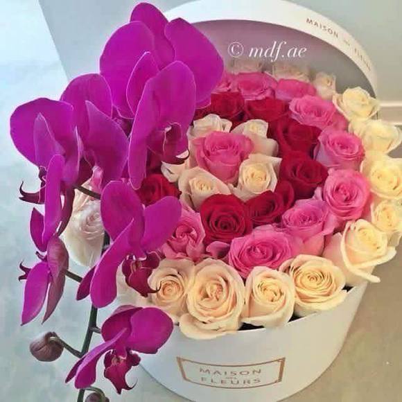 Meet your Posher, Mike - Picture 1 of 1